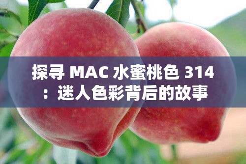 探寻 MAC 水蜜桃色 314：迷人色彩背后的故事