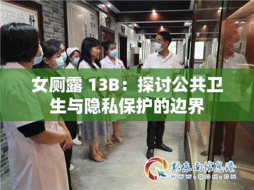 女厕露 13B：探讨公共卫生与隐私保护的边界