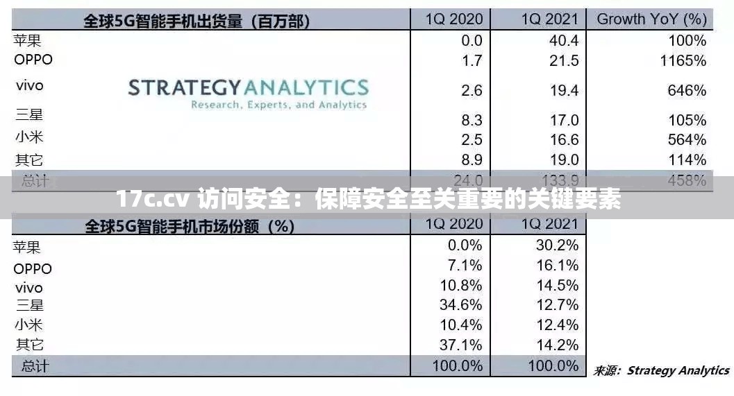 17c.cv 访问安全：保障安全至关重要的关键要素