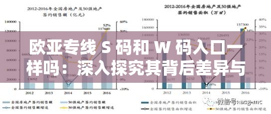 欧亚专线 S 码和 W 码入口一样吗：深入探究其背后差异与联系