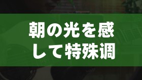 朝の光を感して特殊调弦：探寻其独特魅力与深远影响