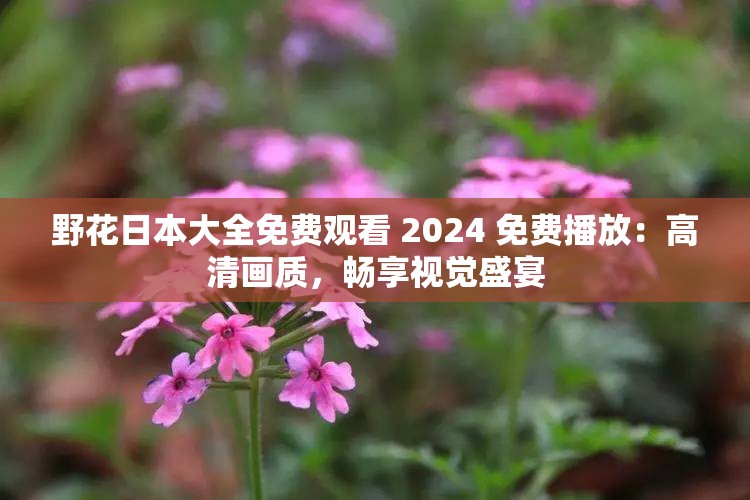 野花日本大全免费观看 2024 免费播放：高清画质，畅享视觉盛宴