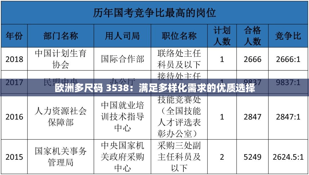 欧洲多尺码 3538：满足多样化需求的优质选择