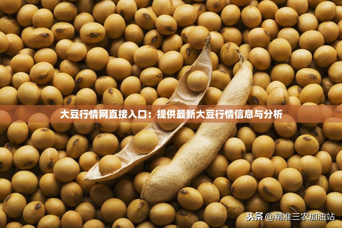 大豆行情网直接入口：提供最新大豆行情信息与分析