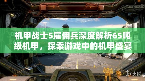 机甲战士5雇佣兵深度解析65吨级机甲，探索游戏中的机甲盛宴与战斗艺术