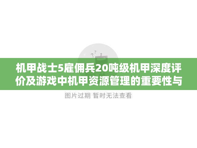 机甲战士5雇佣兵20吨级机甲深度评价及游戏中机甲资源管理的重要性与高效运用策略