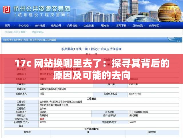 17c 网站换哪里去了：探寻其背后的原因及可能的去向