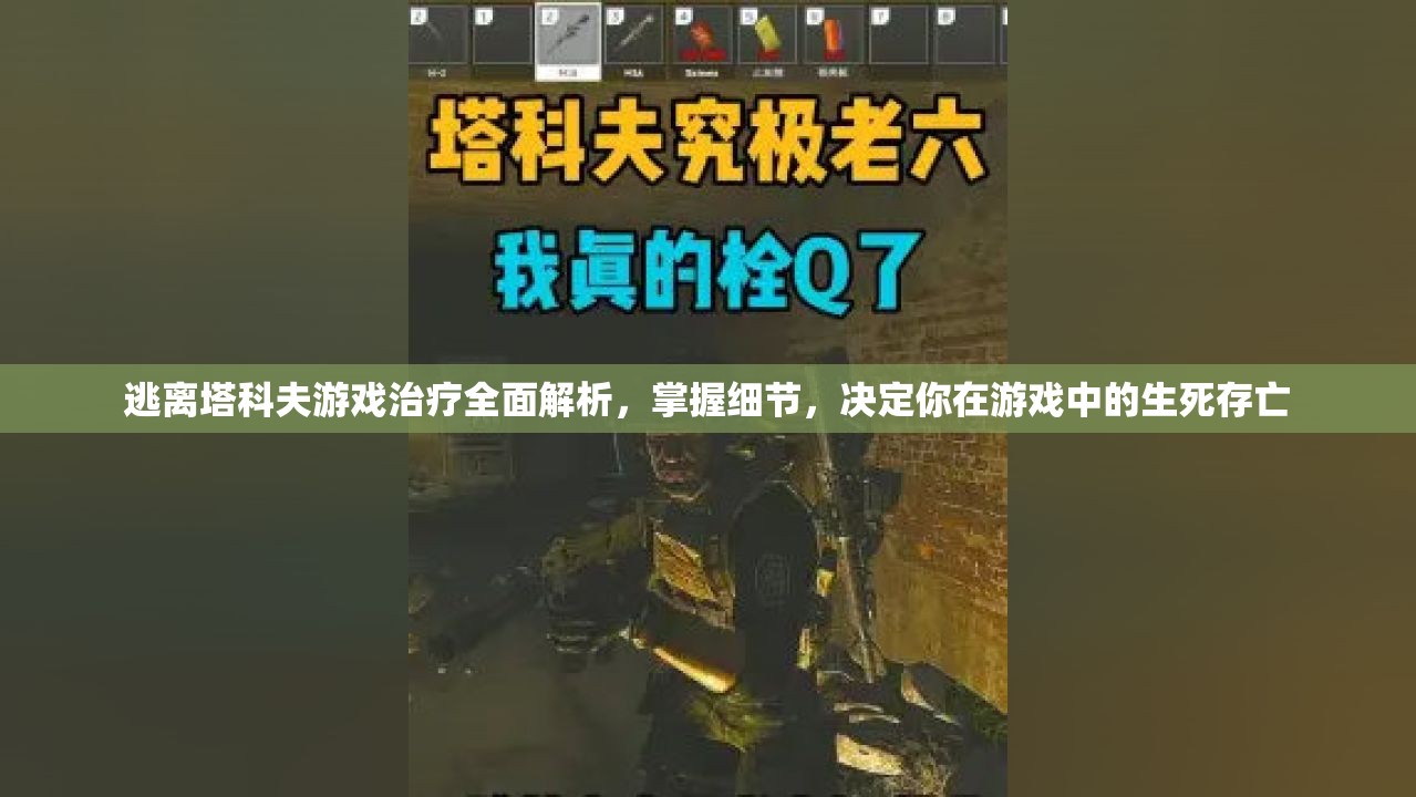 逃离塔科夫游戏治疗全面解析，掌握细节，决定你在游戏中的生死存亡