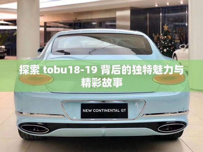 探索 tobu18-19 背后的独特魅力与精彩故事