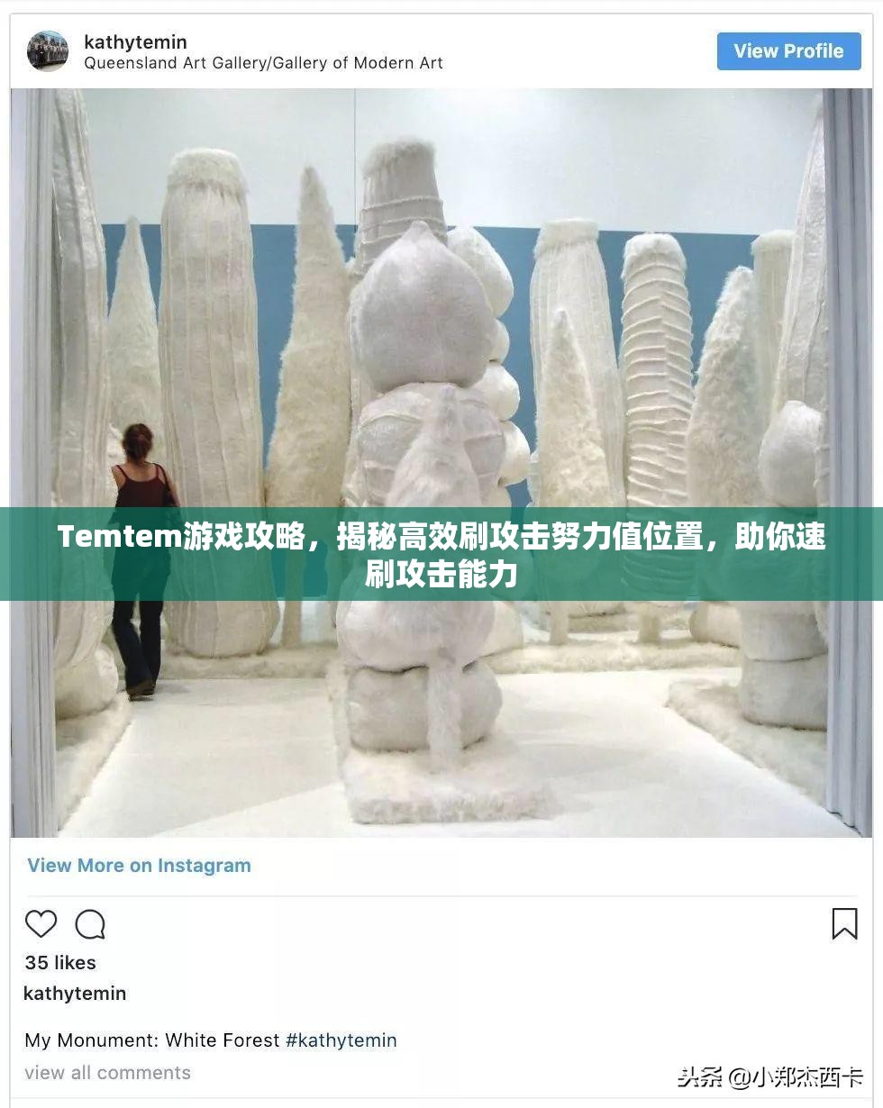 Temtem游戏攻略，揭秘高效刷攻击努力值位置，助你速刷攻击能力