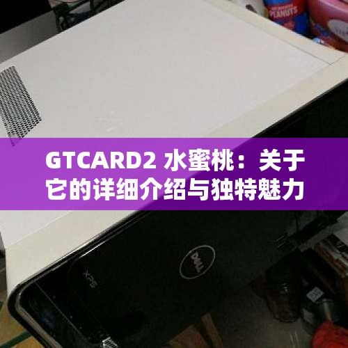 GTCARD2 水蜜桃：关于它的详细介绍与独特魅力