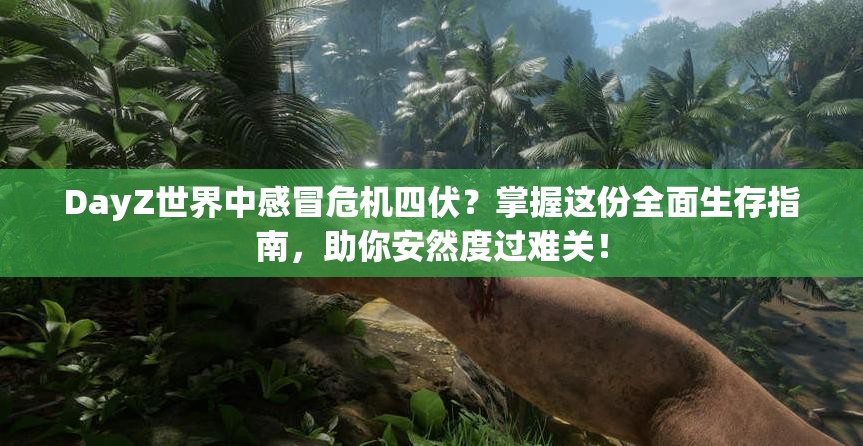 DayZ世界中感冒危机四伏？掌握这份全面生存指南，助你安然度过难关！