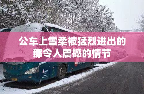 公车上雪柔被猛烈进出的那令人震撼的情节