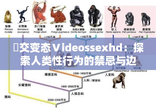 嘼交变态Ⅴideossexhd：探索人类性行为的禁忌与边界