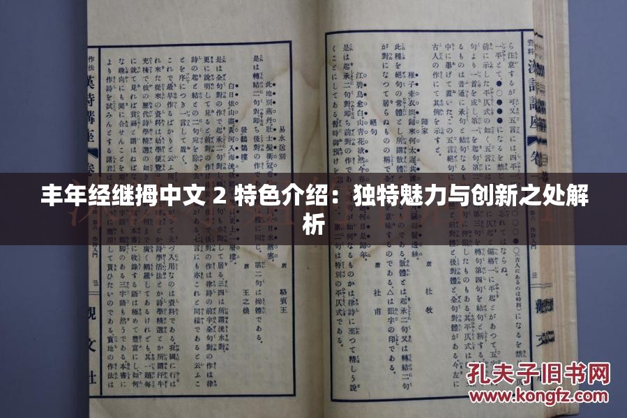 丰年经继拇中文 2 特色介绍：独特魅力与创新之处解析