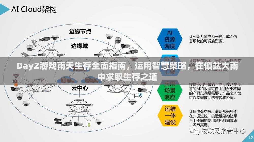 DayZ游戏雨天生存全面指南，运用智慧策略，在倾盆大雨中求取生存之道