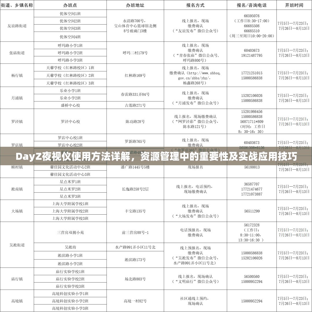 DayZ夜视仪使用方法详解，资源管理中的重要性及实战应用技巧