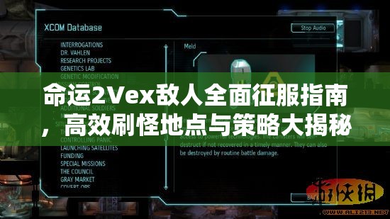 命运2Vex敌人全面征服指南，高效刷怪地点与策略大揭秘