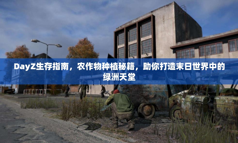 DayZ生存指南，农作物种植秘籍，助你打造末日世界中的绿洲天堂