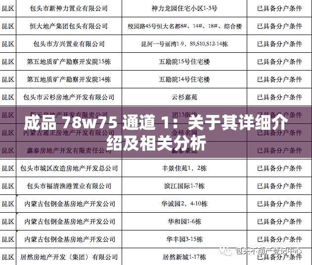 成品 78w75 通道 1：关于其详细介绍及相关分析