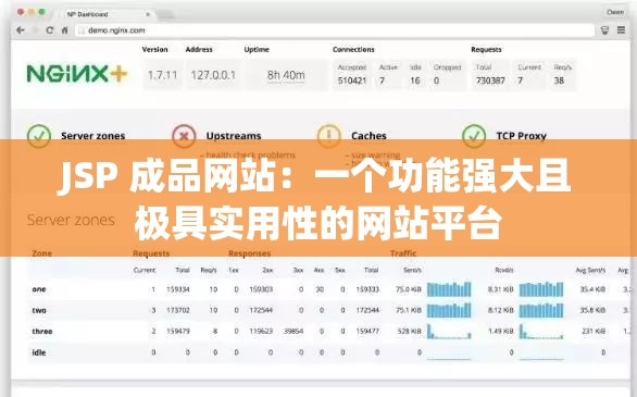 JSP 成品网站：一个功能强大且极具实用性的网站平台