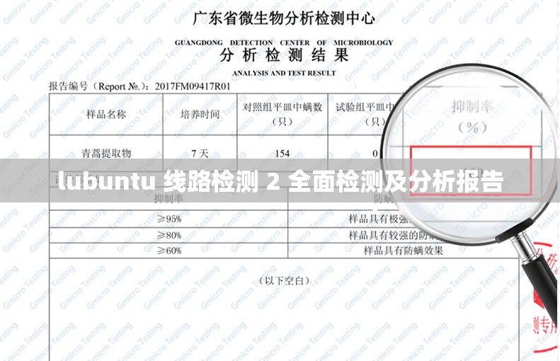 lubuntu 线路检测 2 全面检测及分析报告