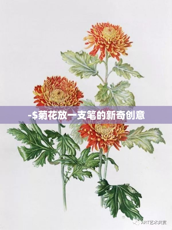 -$菊花放一支笔的新奇创意