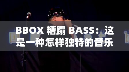 BBOX 糟蹋 BASS：这是一种怎样独特的音乐现象呢