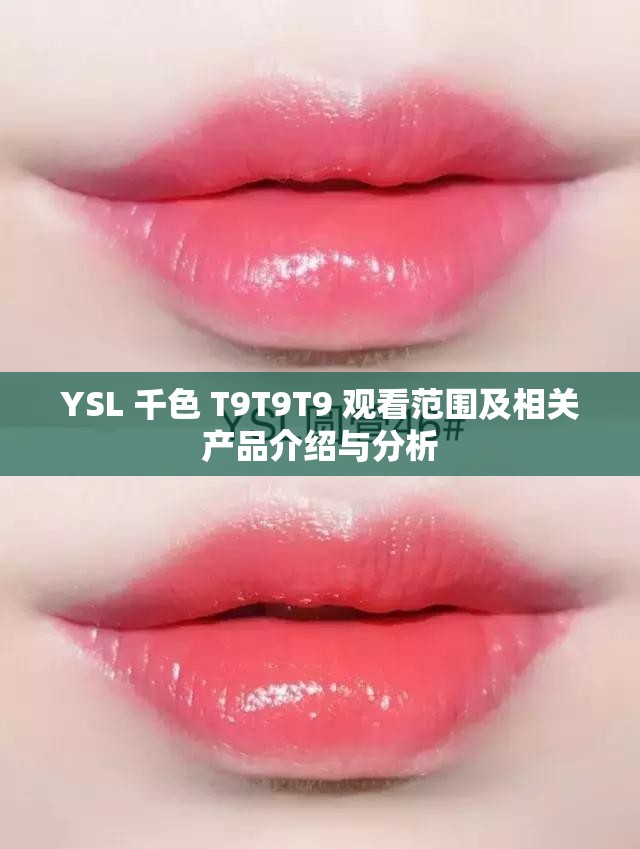 YSL 千色 T9T9T9 观看范围及相关产品介绍与分析