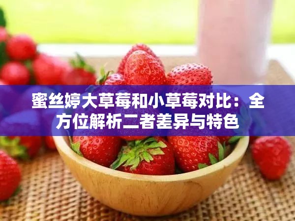 蜜丝婷大草莓和小草莓对比：全方位解析二者差异与特色