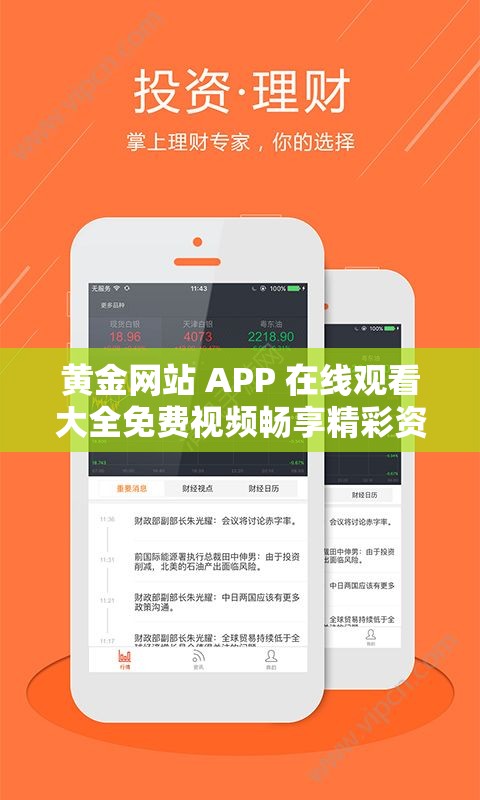 黄金网站 APP 在线观看大全免费视频畅享精彩资源