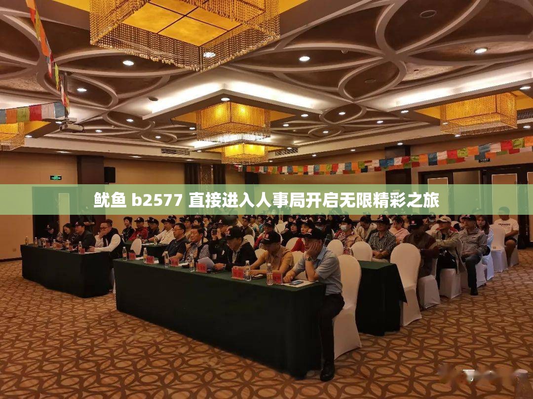 鱿鱼 b2577 直接进入人事局开启无限精彩之旅