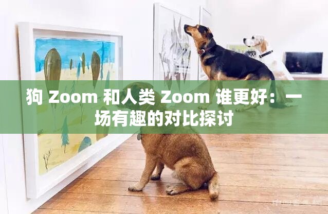 狗 Zoom 和人类 Zoom 谁更好：一场有趣的对比探讨