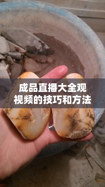 成品直播大全观视频的技巧和方法：全面解析如何提升直播观看体验