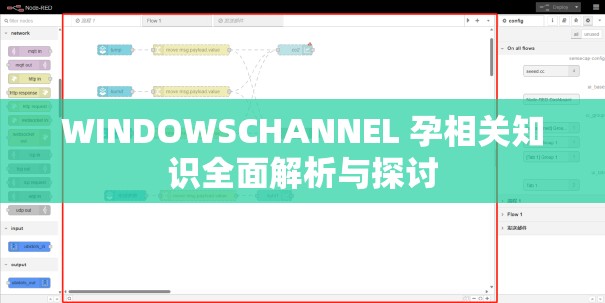 WINDOWSCHANNEL 孕相关知识全面解析与探讨