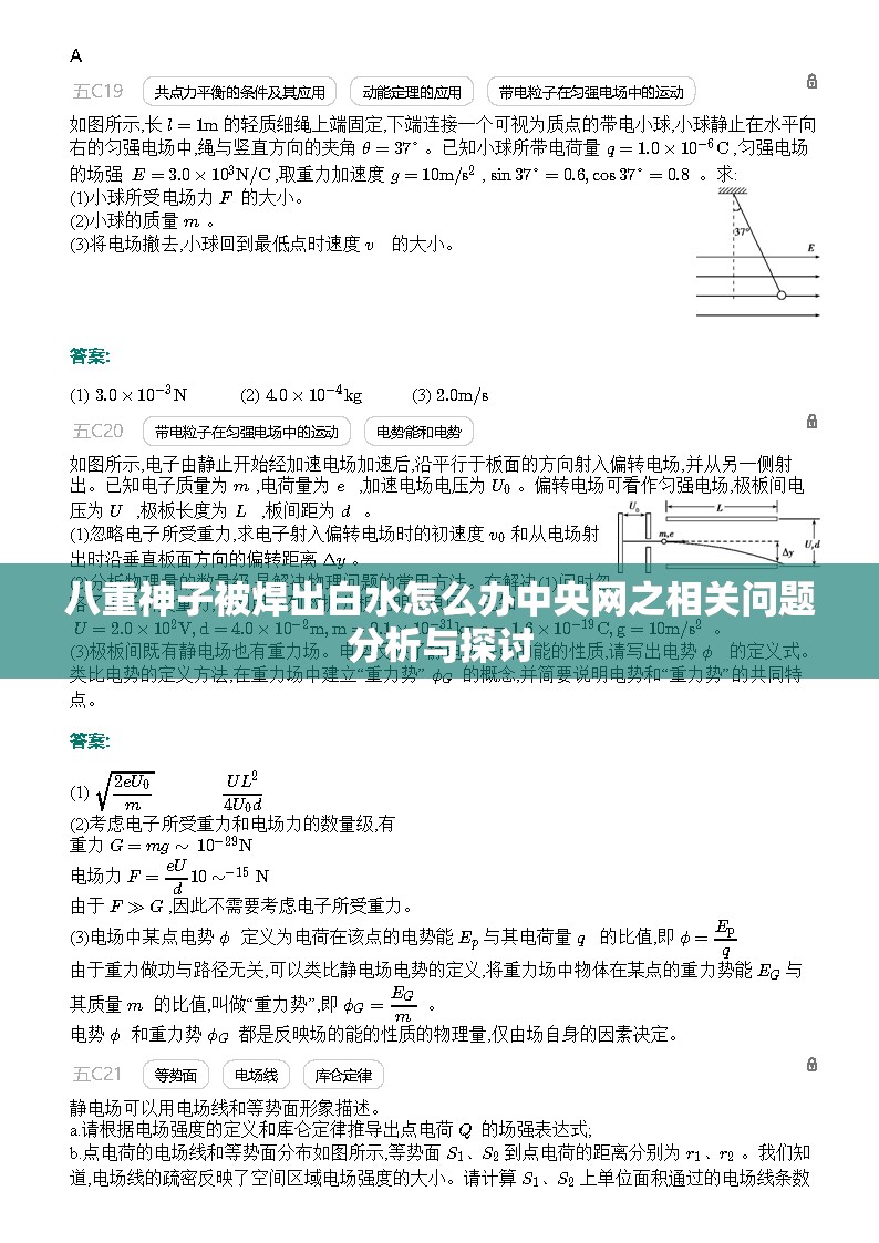 八重神子被焊出白水怎么办中央网之相关问题分析与探讨