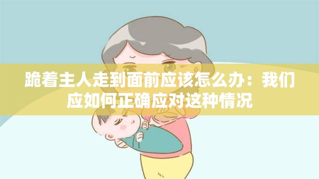 跪着主人走到面前应该怎么办：我们应如何正确应对这种情况