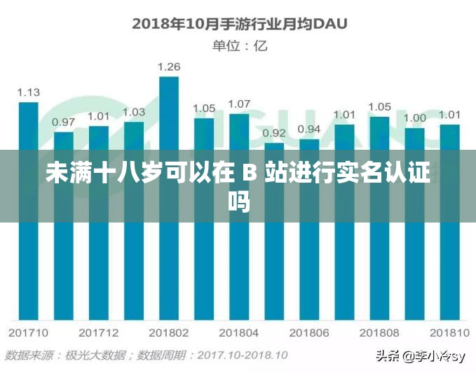 未满十八岁可以在 B 站进行实名认证吗