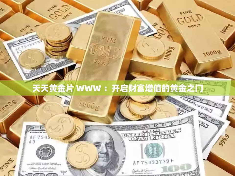 天天黄金片 WWW ：开启财富增值的黄金之门