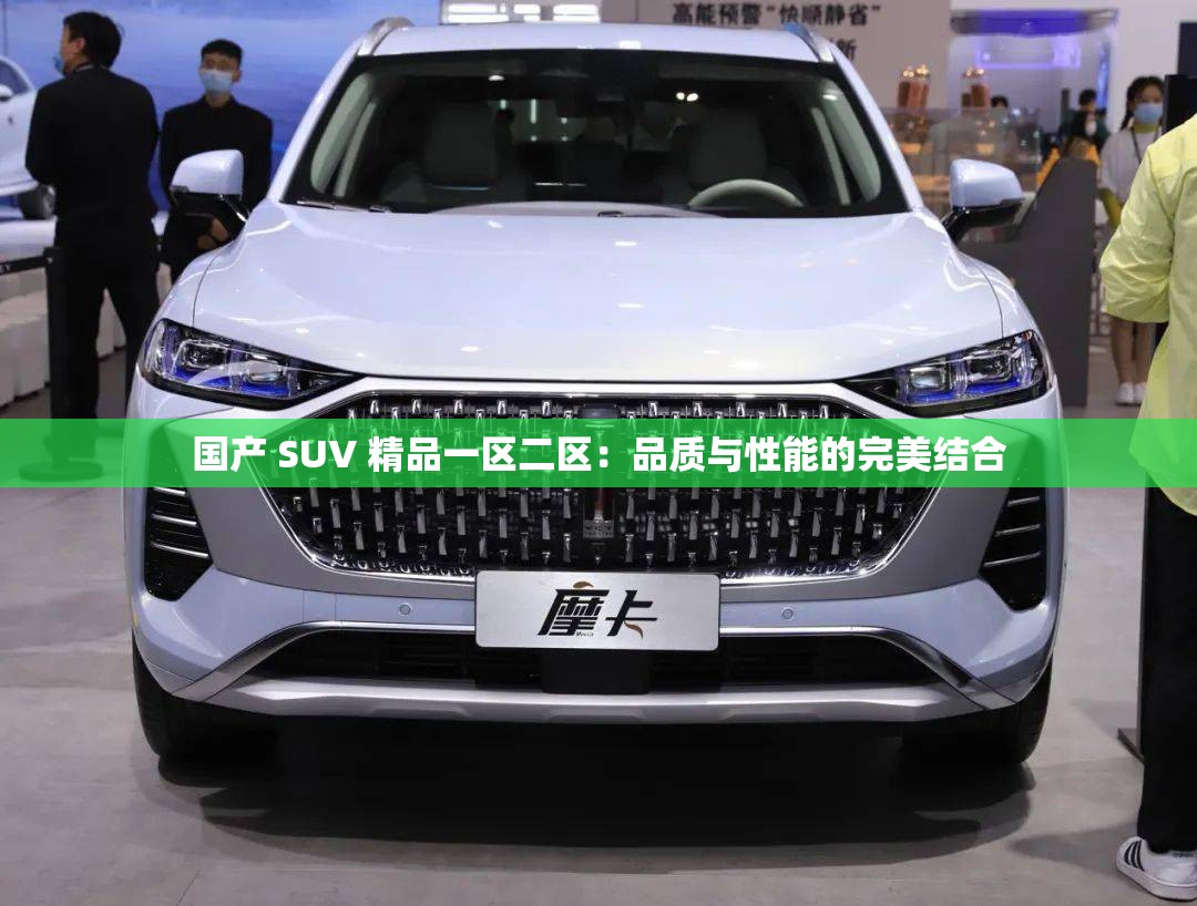 国产 SUV 精品一区二区：品质与性能的完美结合