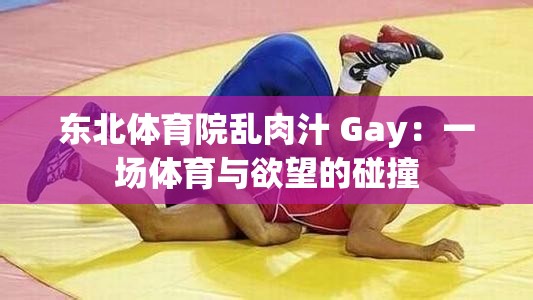 东北体育院乱肉汁 Gay：一场体育与欲望的碰撞