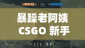 暴躁老阿姨 CSGO 新手技巧：从菜鸟到高手的进阶之路