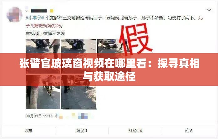 张警官玻璃窗视频在哪里看：探寻真相与获取途径