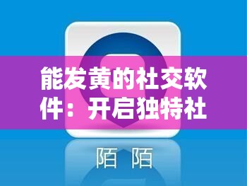 能发黄的社交软件：开启独特社交新体验