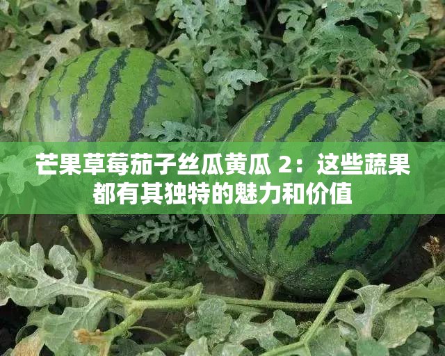 芒果草莓茄子丝瓜黄瓜 2：这些蔬果都有其独特的魅力和价值