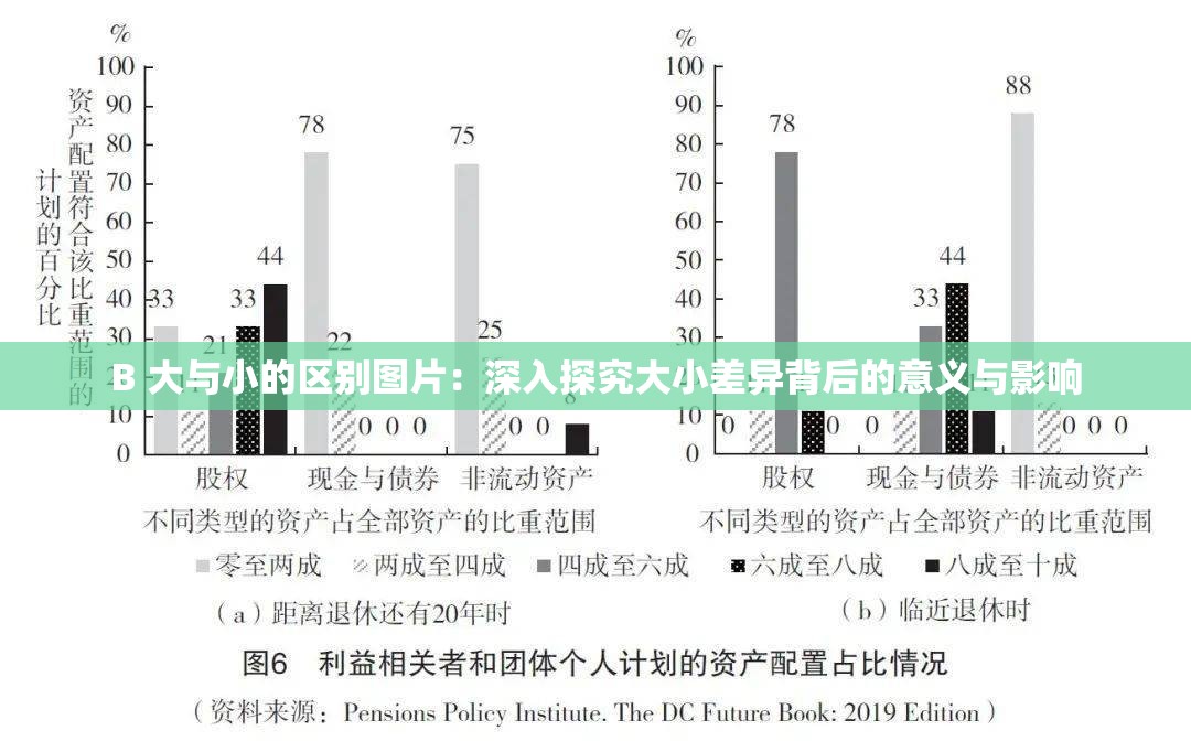 B 大与小的区别图片：深入探究大小差异背后的意义与影响