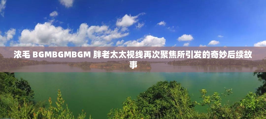 浓毛 BGMBGMBGM 胖老太太视线再次聚焦所引发的奇妙后续故事