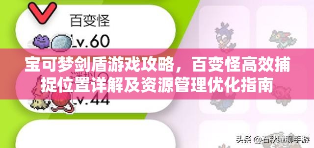 宝可梦剑盾游戏攻略，百变怪高效捕捉位置详解及资源管理优化指南