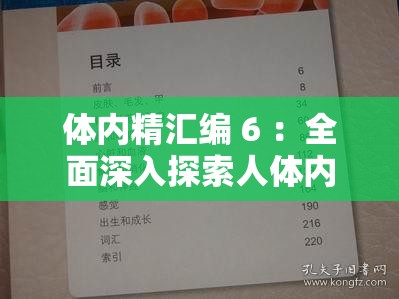 体内精汇编 6 ：全面深入探索人体内部精妙世界的指南