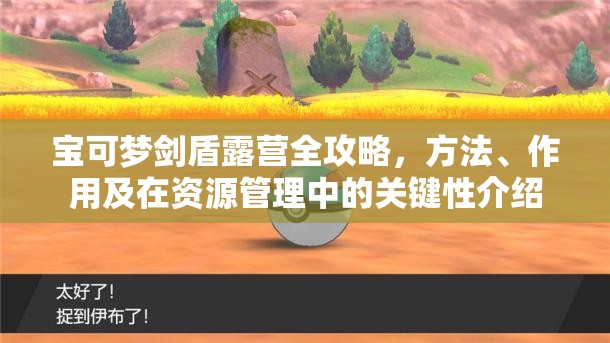 宝可梦剑盾露营全攻略，方法、作用及在资源管理中的关键性介绍